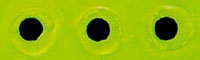 JMC® Oeil Adhesif - 4.5 mm - Vert
